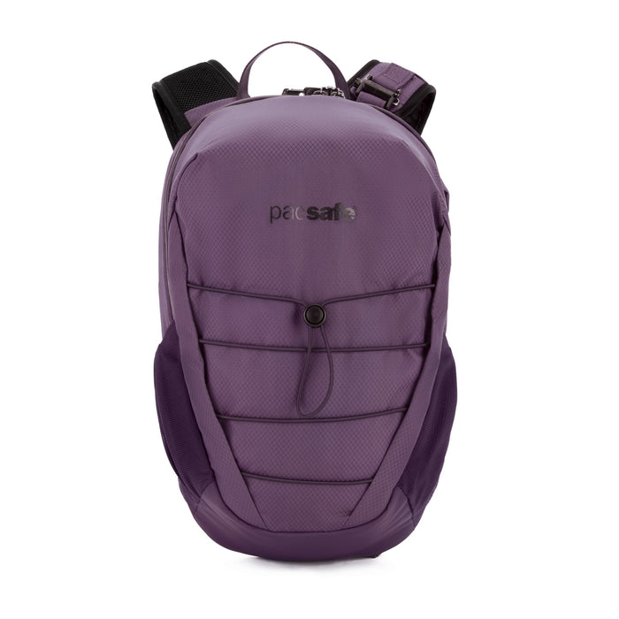 Pacsafe Venturesafe X12 Backpack